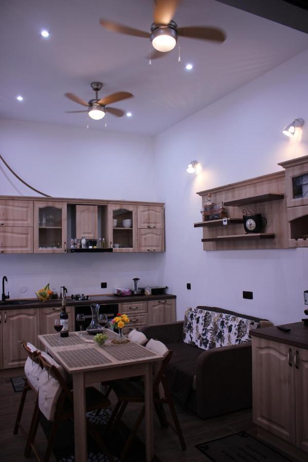 Ella Apartment Timisoara No11 المظهر الخارجي الصورة