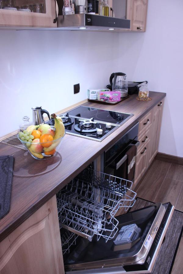 Ella Apartment Timisoara No11 المظهر الخارجي الصورة