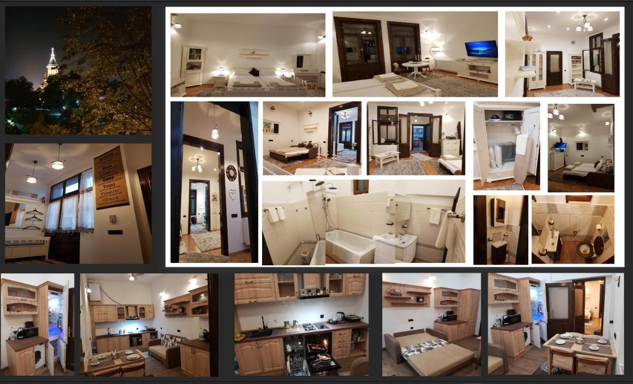 Ella Apartment Timisoara No11 المظهر الخارجي الصورة