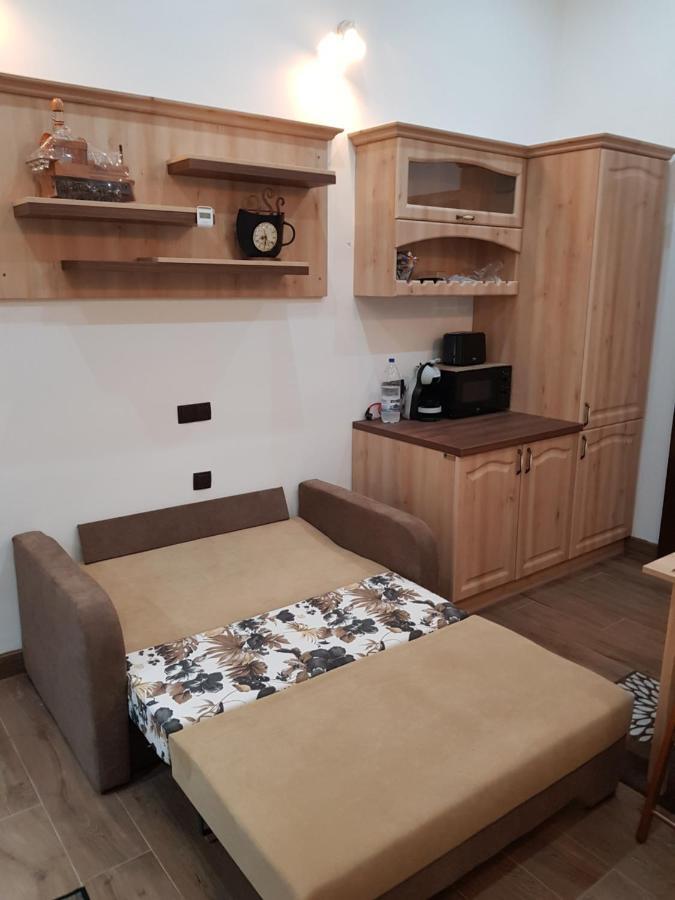 Ella Apartment Timisoara No11 المظهر الخارجي الصورة